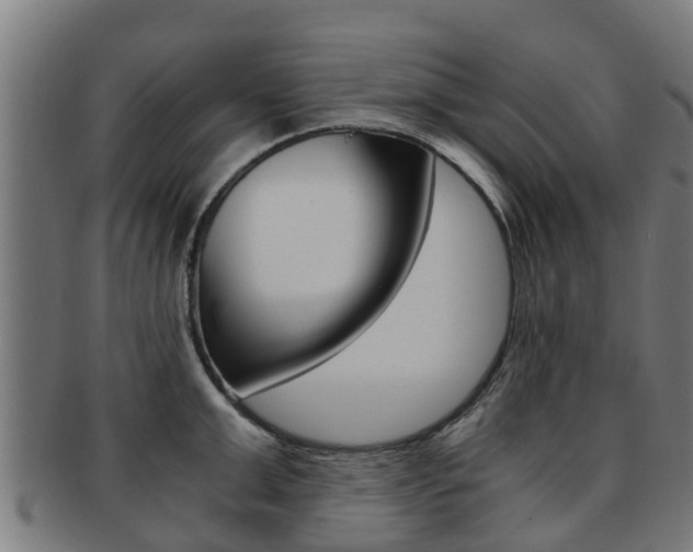 X0000092000999200709061236