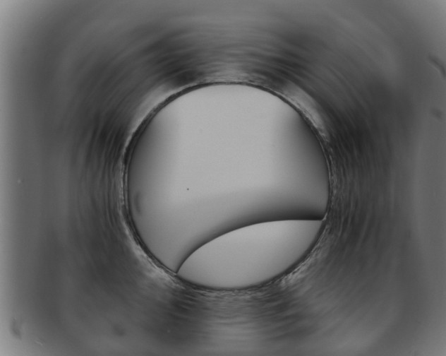 X0000092001000200709061236