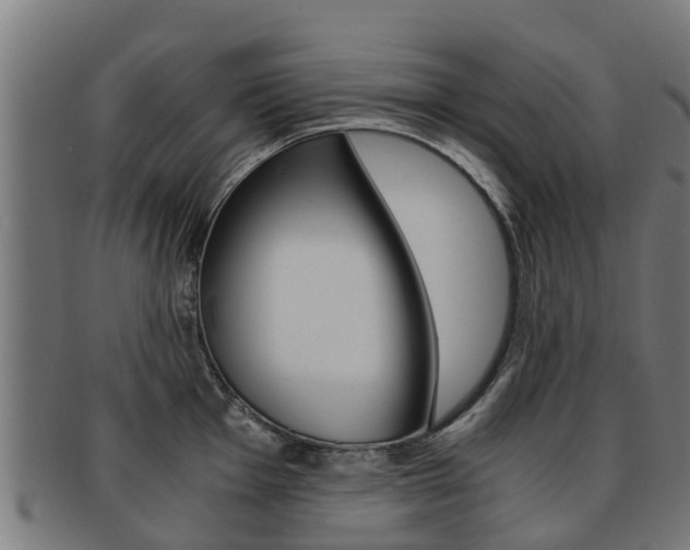 X0000092001001200709061236