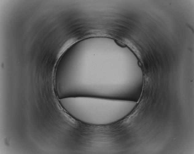 X0000092001002200709061236