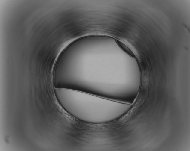 X0000092001004200709061236