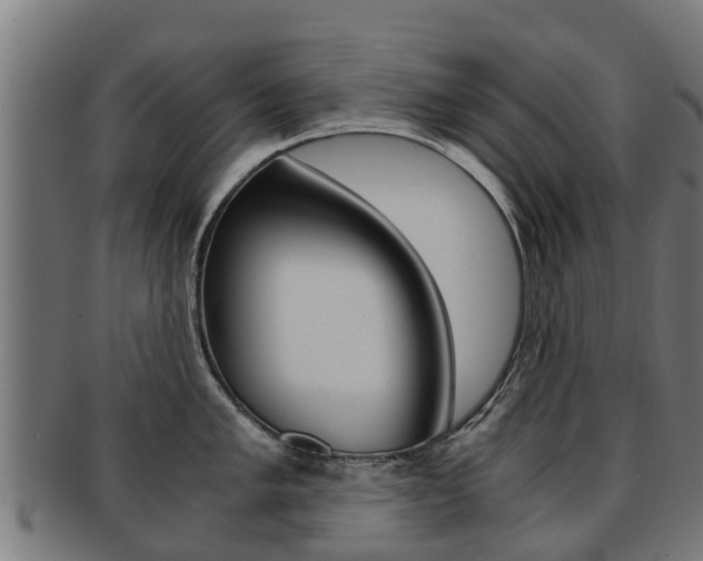 X0000092001005200709061236