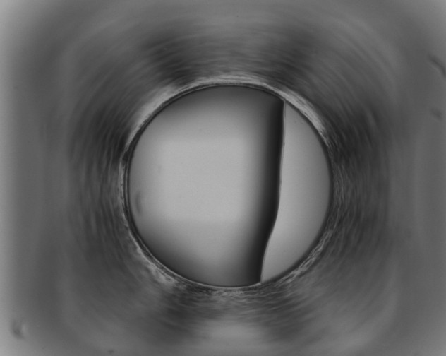 X0000092001006200709061236