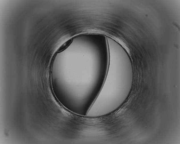 X0000092001007200709061236