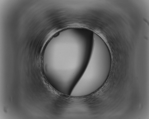X0000092001008200709061236