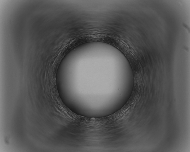 X0000092001009200709061236