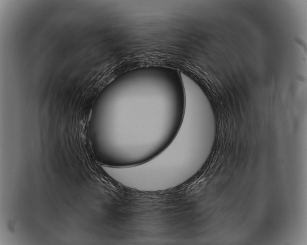 X0000092001010200709061236