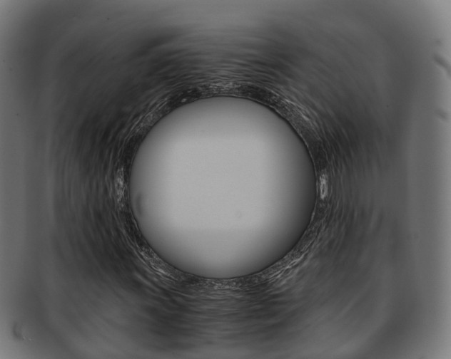 X0000092001011200709061236