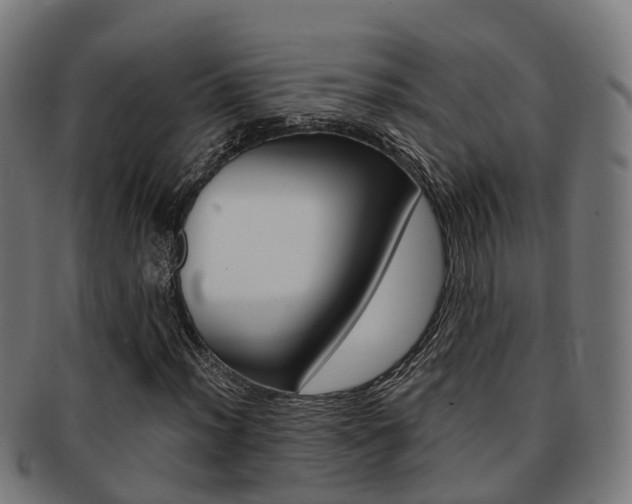 X0000092001012200709061236