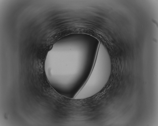 X0000092001013200709061236