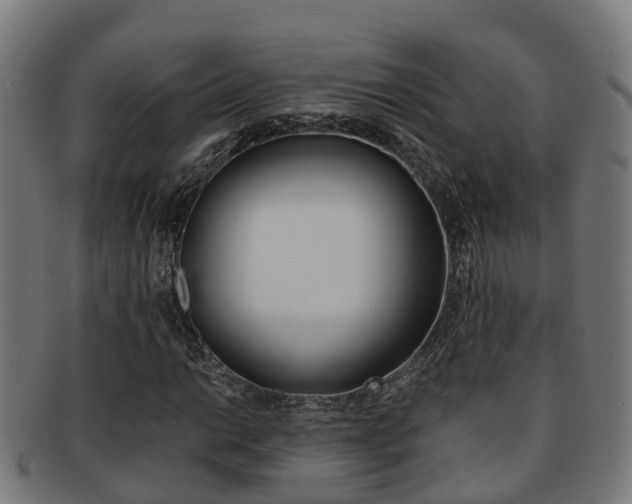 X0000092001014200709061236