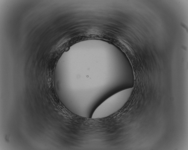 X0000092001015200709061236
