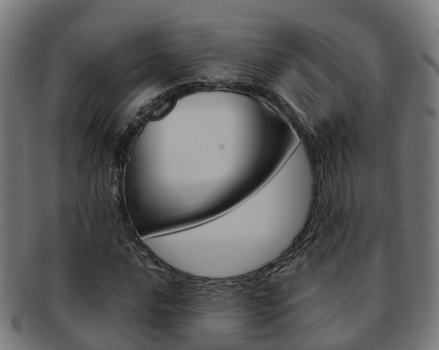 X0000092001016200709061236