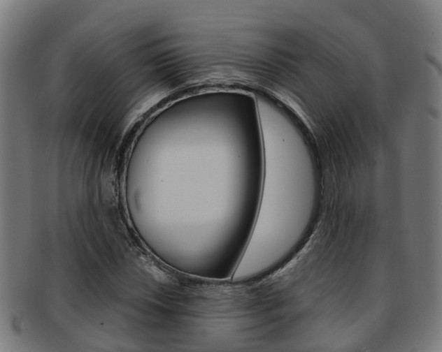 X0000092001018200709061236