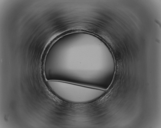 X0000092001020200709061236