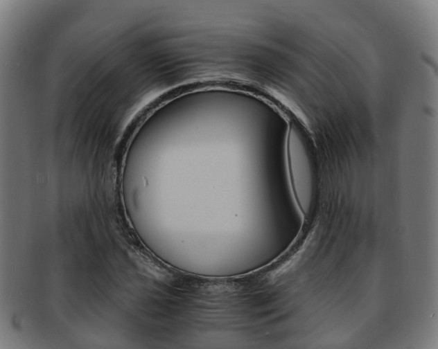 X0000092001021200709061236