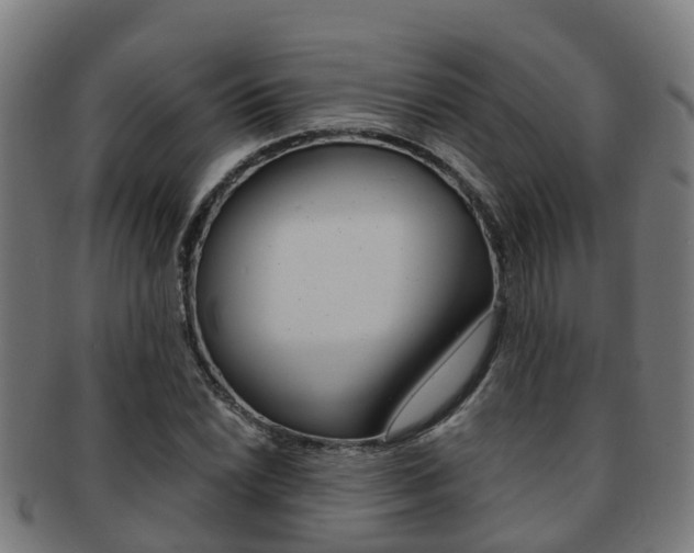 X0000092001022200709061236