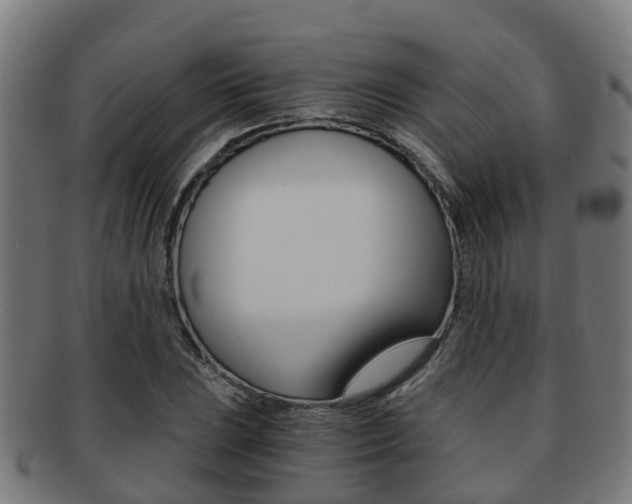 X0000092001023200709061236