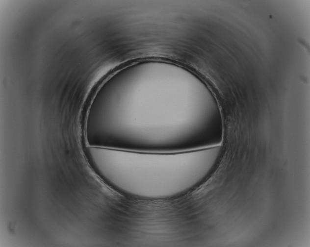 X0000092001024200709061236