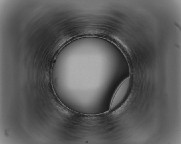 X0000092001025200709061236