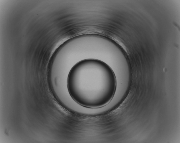 X0000092001026200709061236