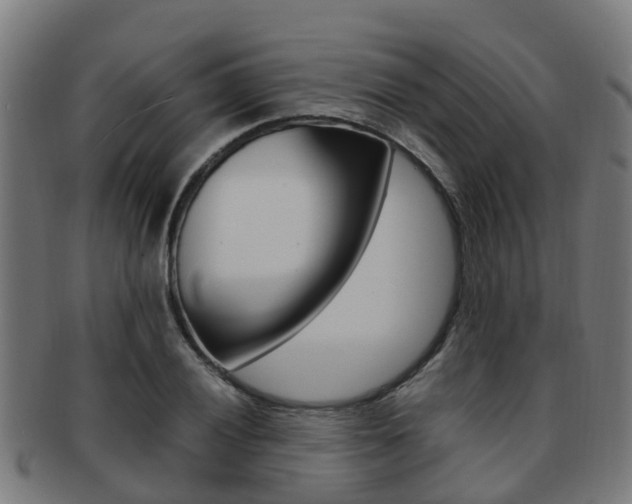 X0000092001028200709061236
