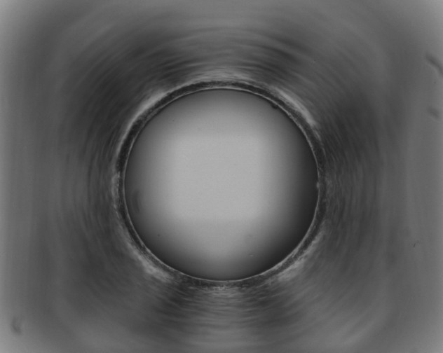 X0000092001029200709061236