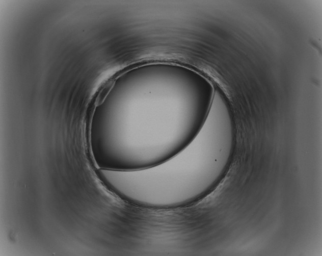 X0000092001030200709061236