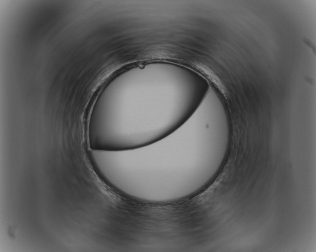 X0000092001031200709061236