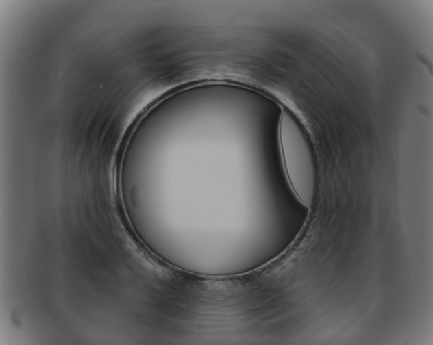 X0000092001032200709061236