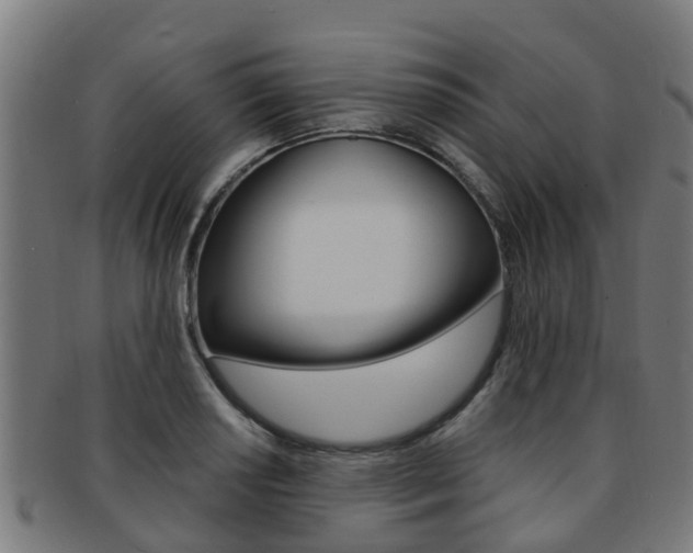 X0000092001034200709061236