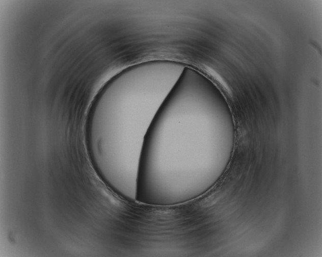 X0000092001035200709061236