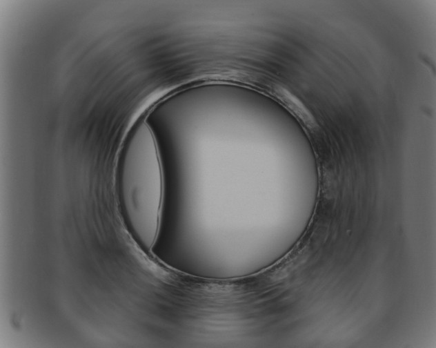 X0000092001036200709061236