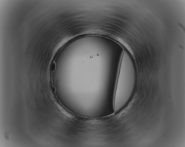 X0000092001037200709061236