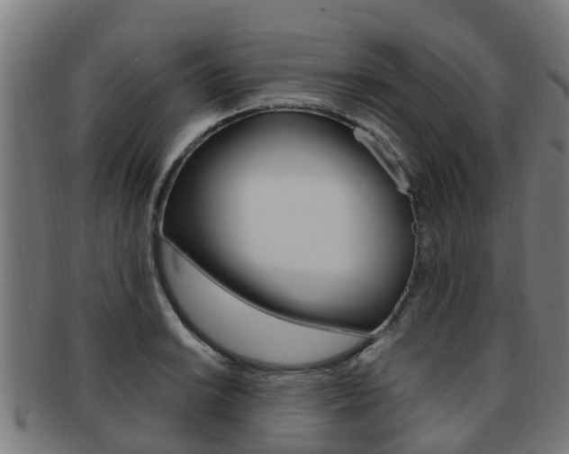 X0000092001038200709061236