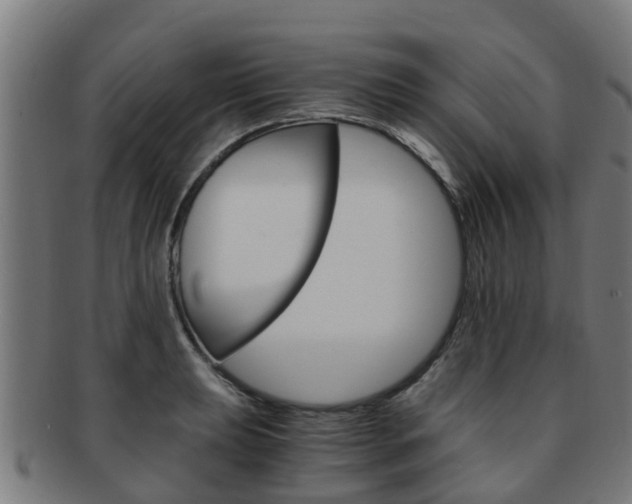 X0000092001039200709061236