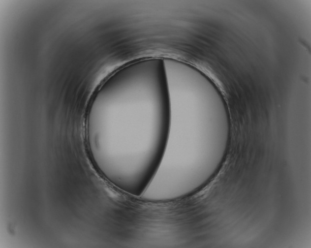 X0000092001040200709061236
