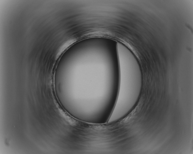 X0000092001042200709061236