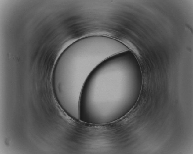 X0000092001044200709061236