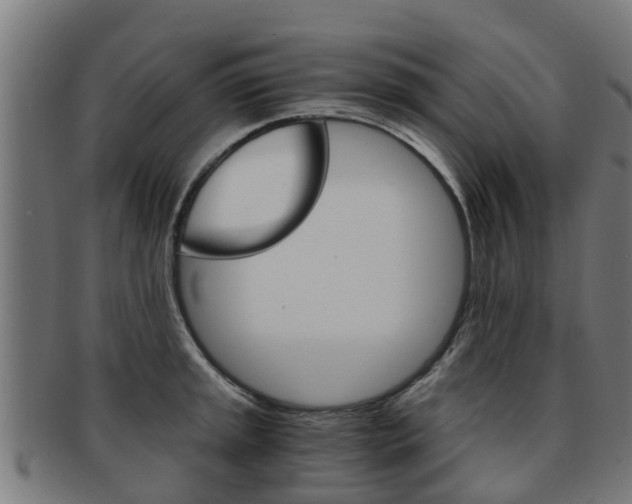 X0000092001045200709061236