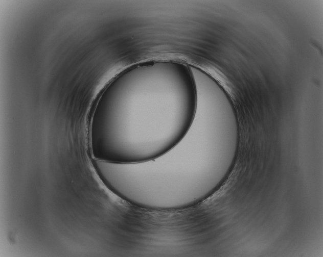 X0000092001046200709061236