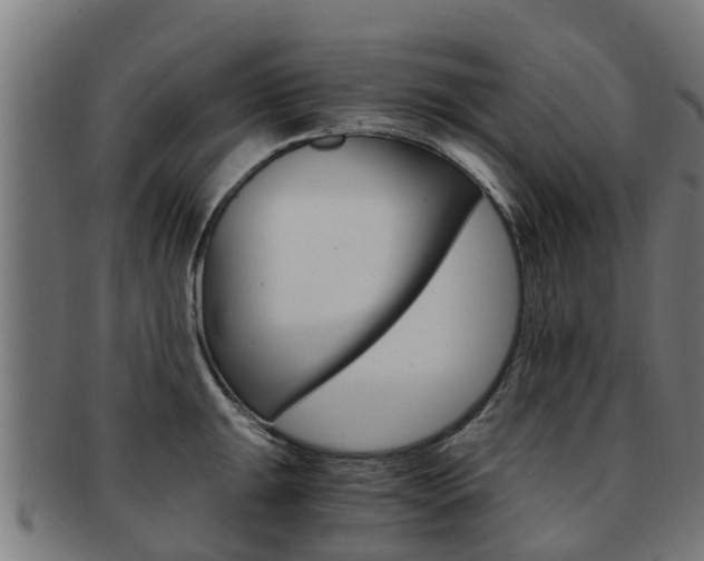 X0000092001047200709061236