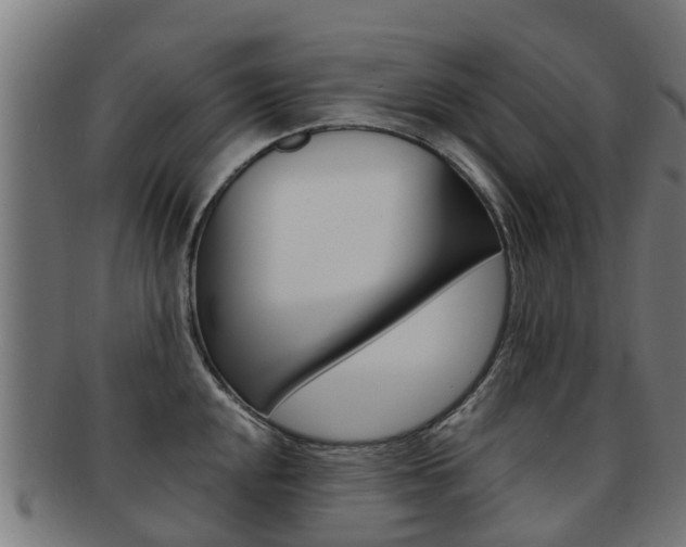 X0000092001048200709061236