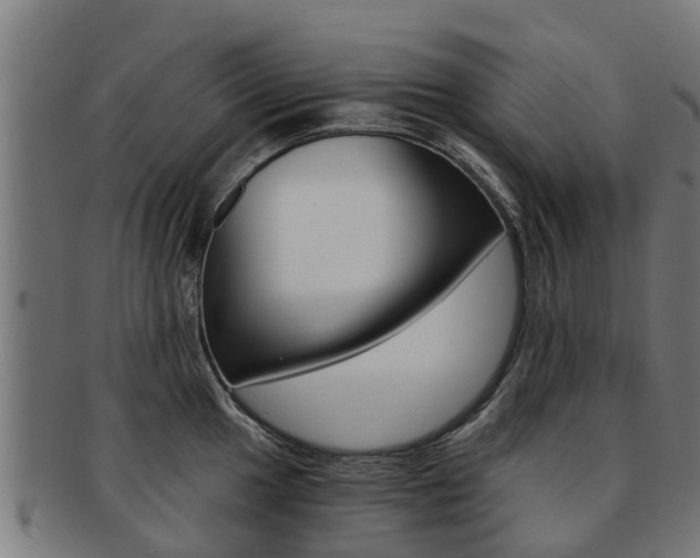 X0000092001049200709061236