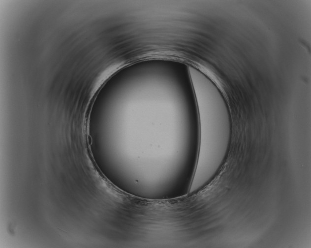 X0000092001050200709061236
