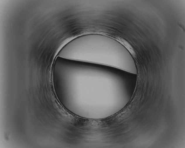 X0000092001052200709061236