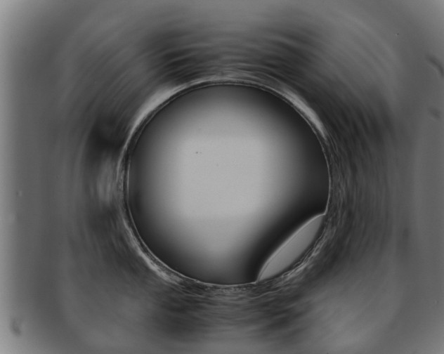 X0000092001053200709061236