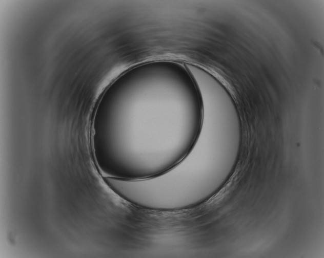 X0000092001054200709061236
