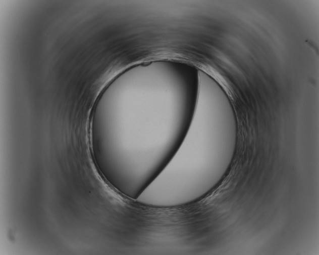X0000092001055200709061236