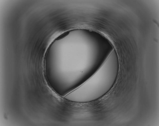 X0000092001056200709061236